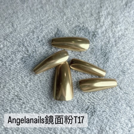 Angelanails 鏡面粉 T17