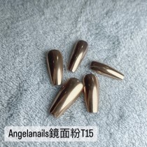 Angelanails 鏡面粉 T15